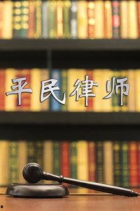 平民律师在线观看
